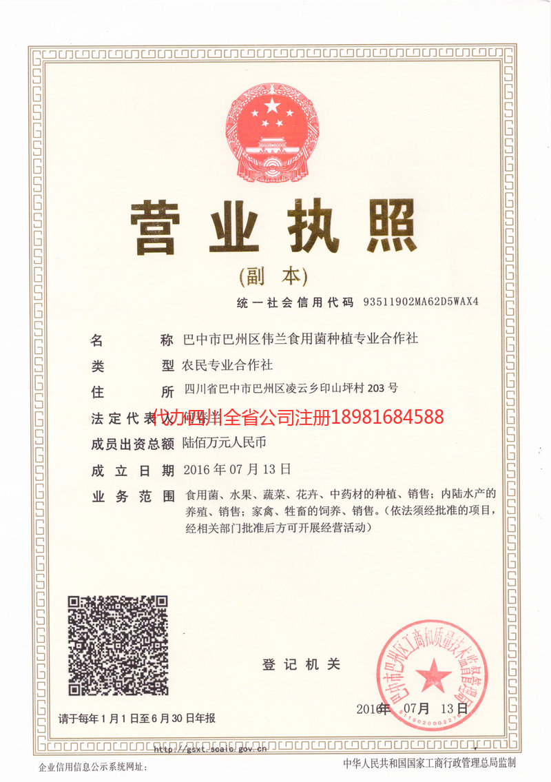 津市津市伟兰食用菌种植专业合作社